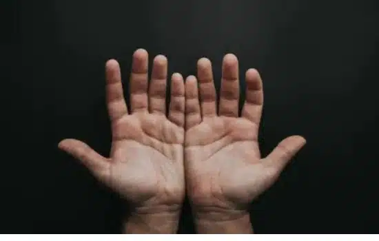 Free Palm Reading Apps Launched