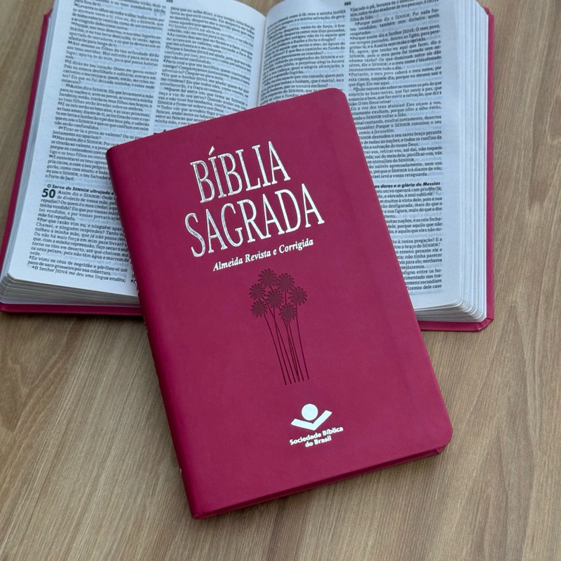 Bible App Designed Specifically for Women
